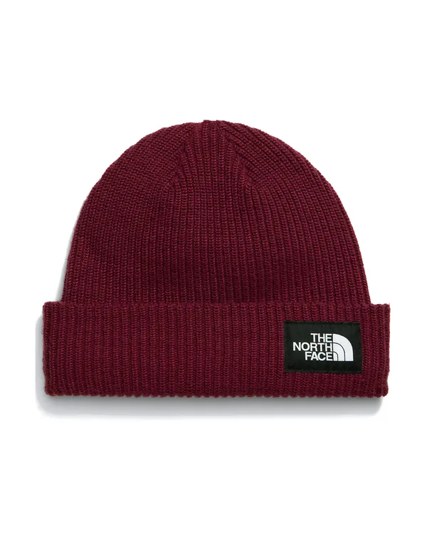 The North Face Salty Lined Beanie in Burgundy Crush